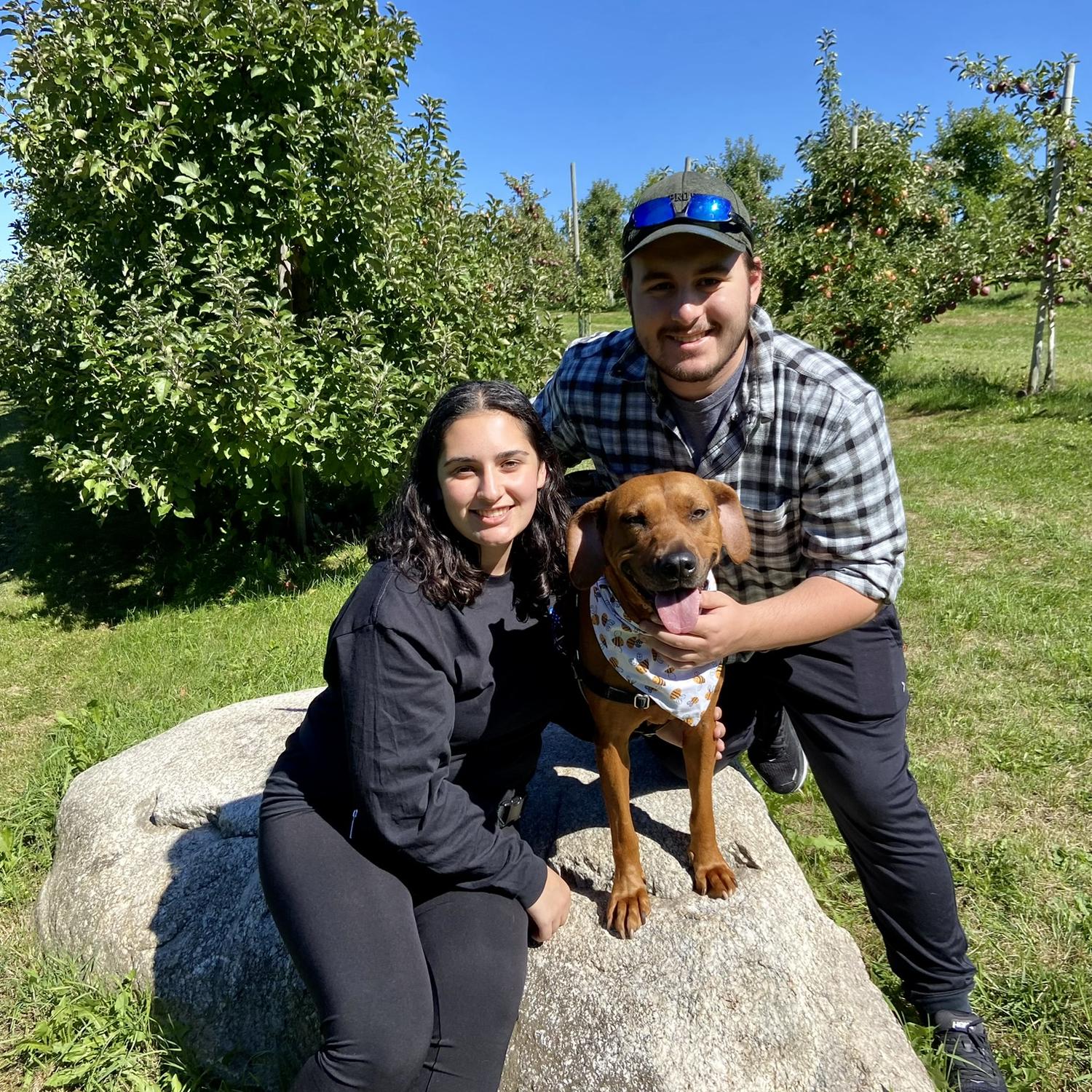 Apple picking with Aunt Donna, Uncle Kevin, Tessie, and Teddy, Fall 2022