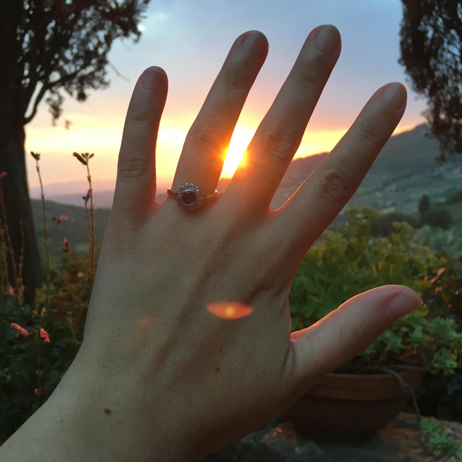 Lord of the Ring