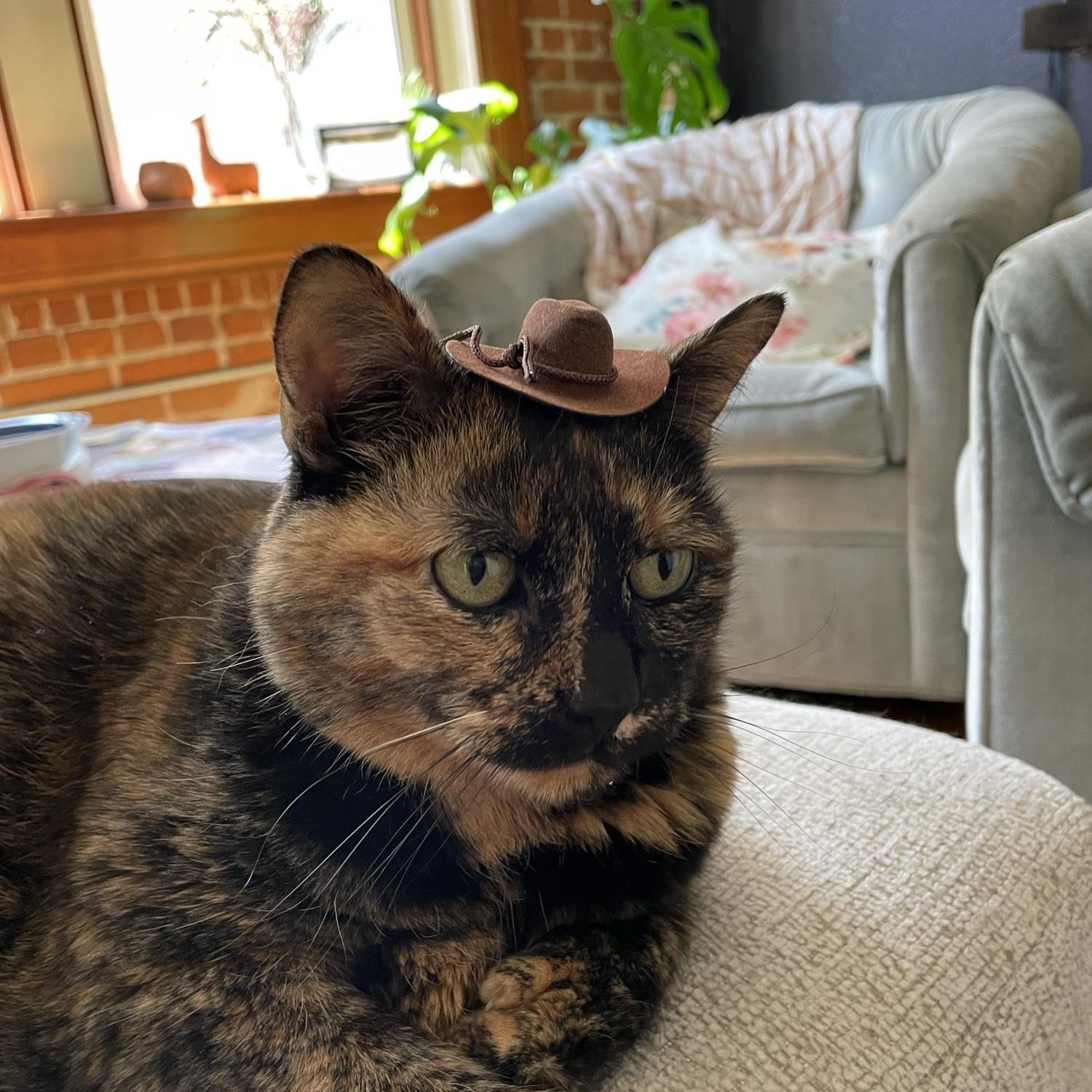 Even meatloaf is in the spirit