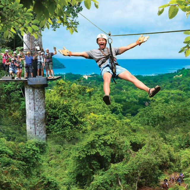 Zip-lining Honeymoon