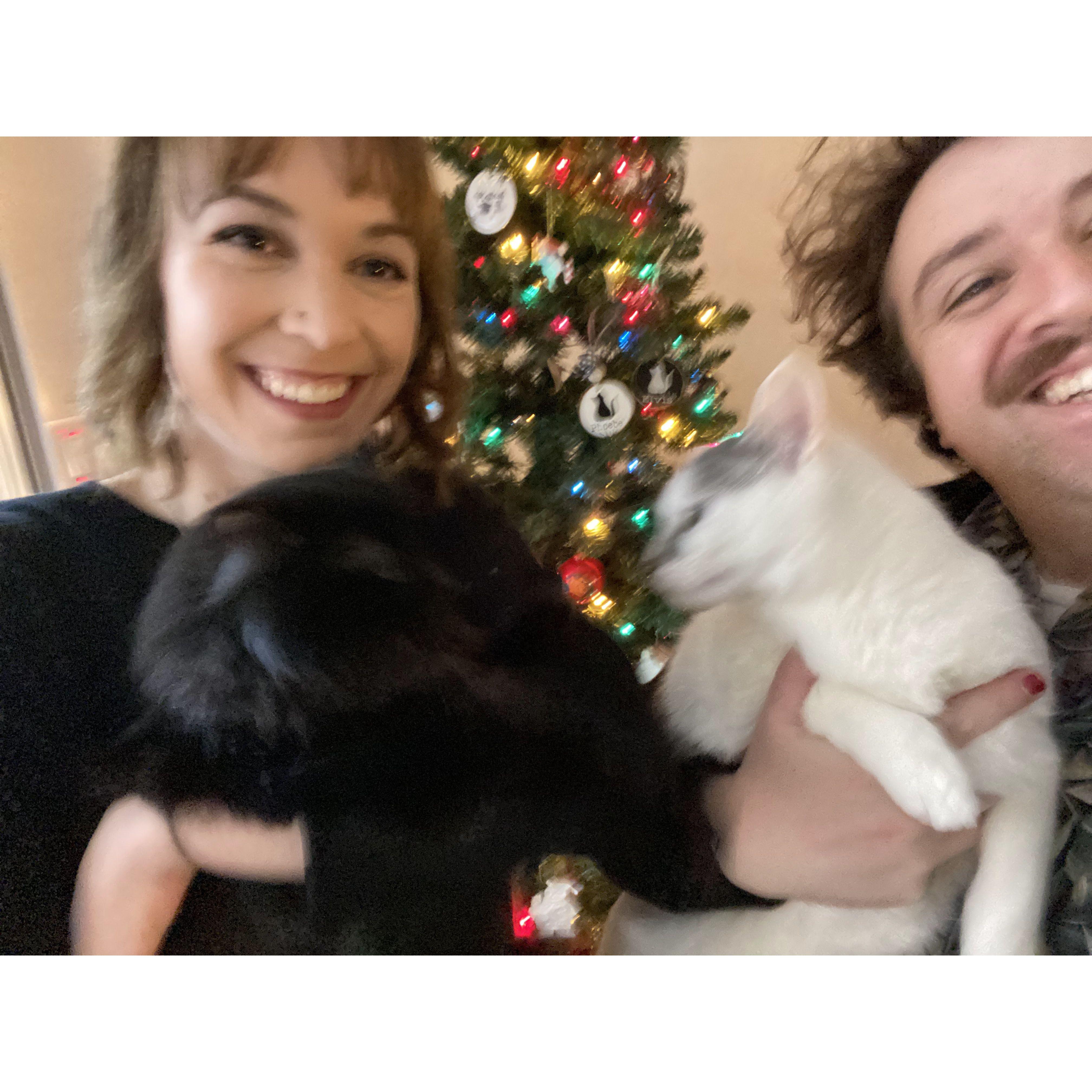 It's tough to get a family picture when cats are involved. Christmas 2021