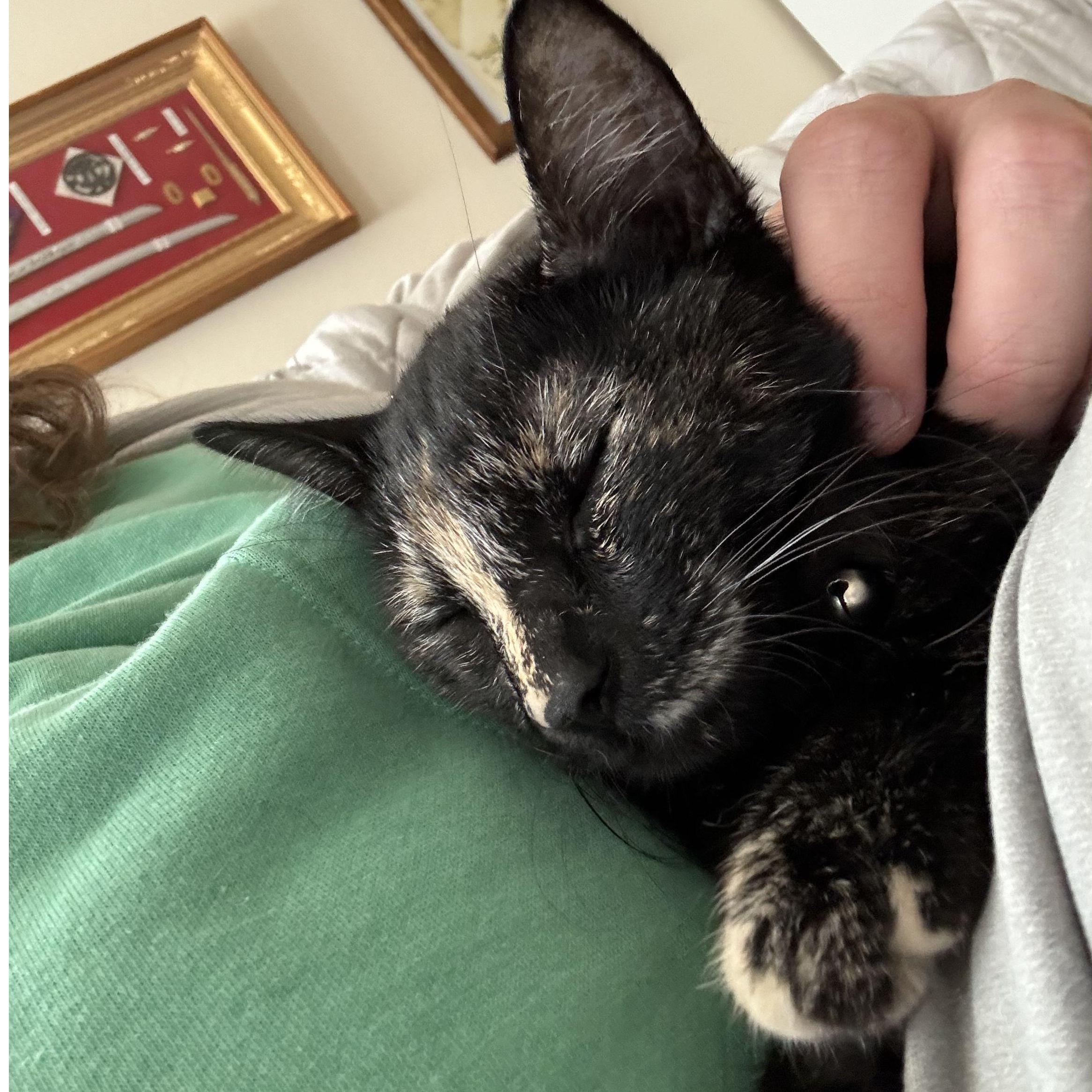 Euphrati cuddling Peter