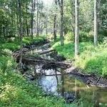 Highland Lakes State Park