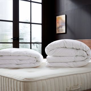 Hypoallergenic Down Alternative Duvet Insert