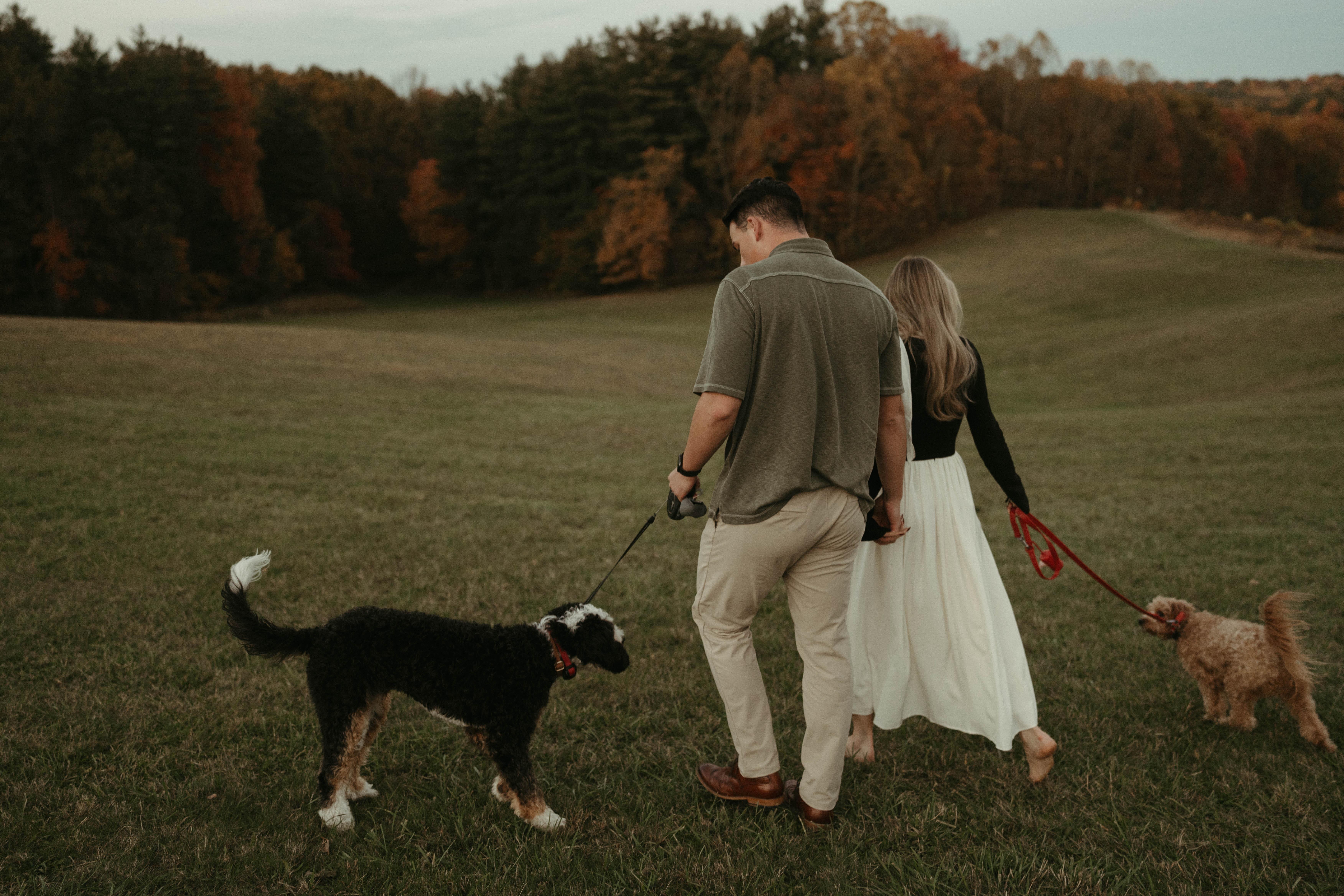 The Wedding Website of Alexandra Grabowski and Ethan Engelke