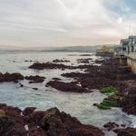 Monterey Bay Aquarium