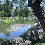 The Huntington Library, Art Museum, and Botanical Gardens