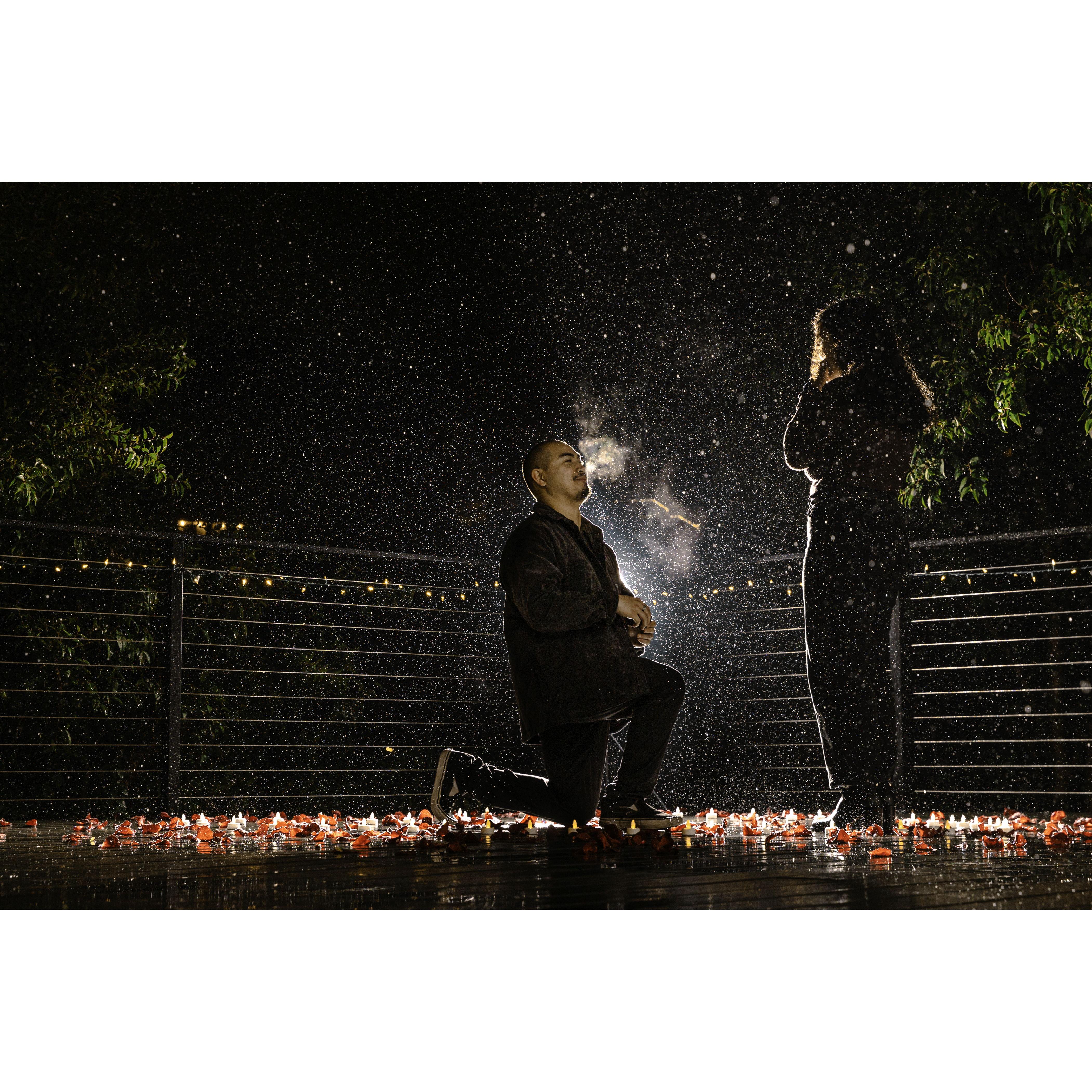 The proposal :)