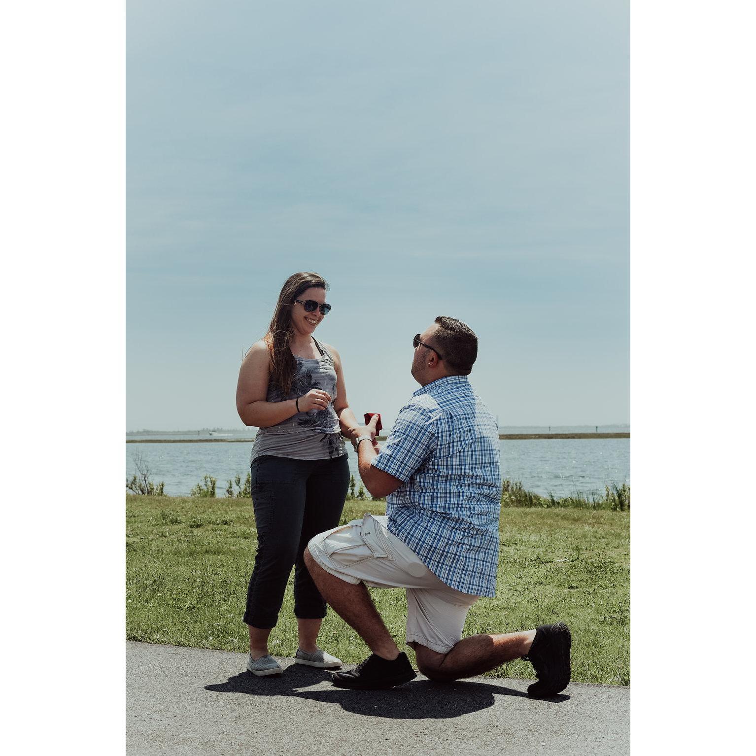 The Proposal