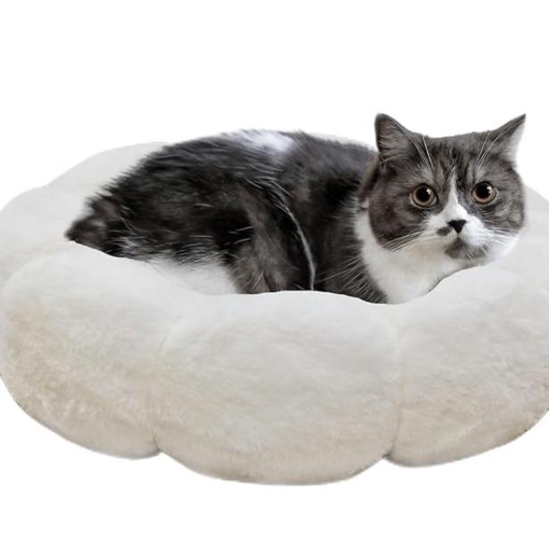 Cat Beds for Indoor Cats, Machine Washable Non-Skid, Fluffy Flower Cat Bed Cute, Anti Anxiety Dog Beds for Toy Size Dogs, 20 * 20 Inches, Cream