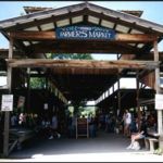 Ithaca's Farmers Market