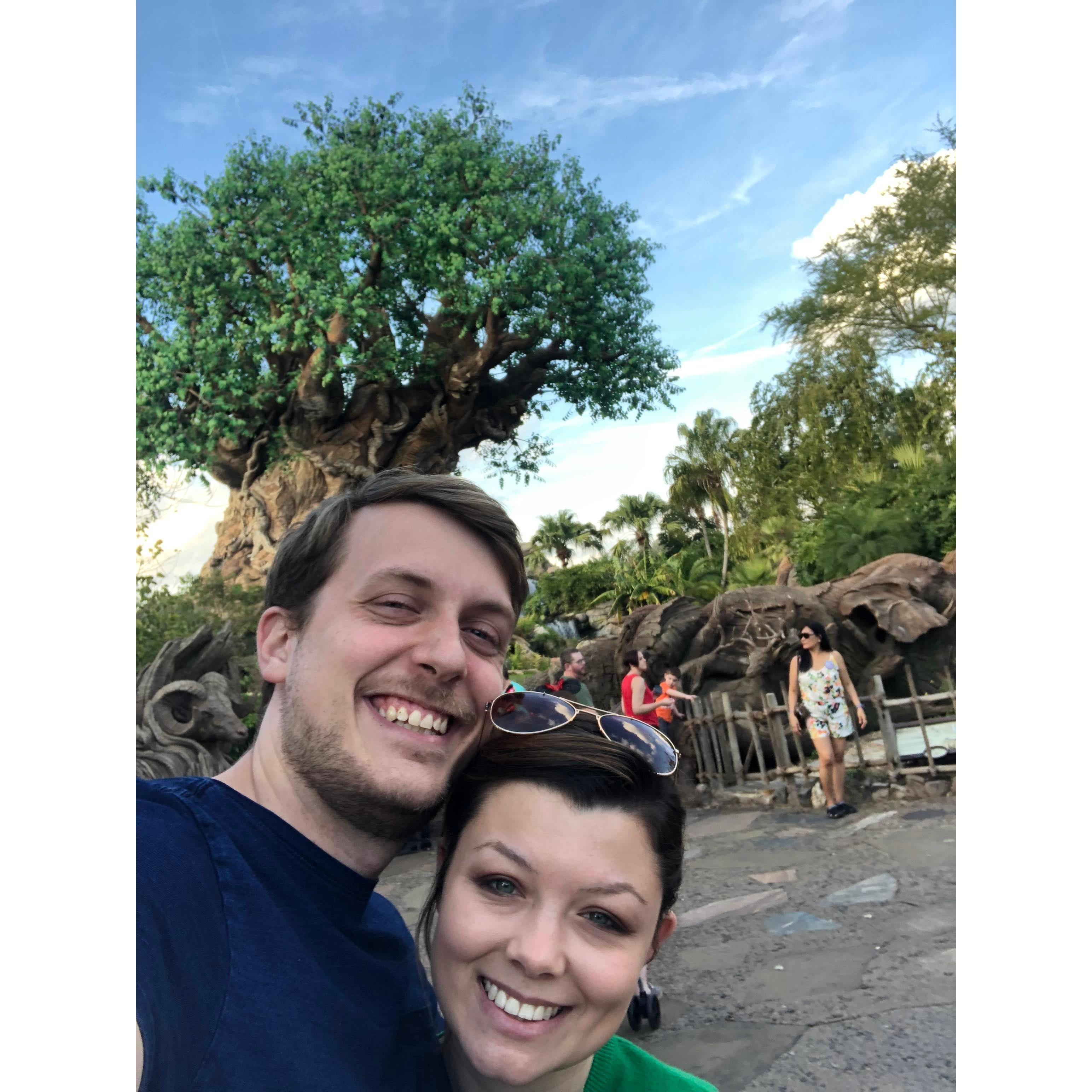 2nd Anniversary trip to Animal Kingdom