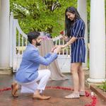 The Proposal