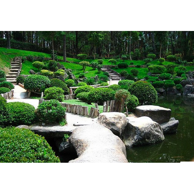 Bosque Colomos- huge, beautiful park in the heart of the city. Great for running, walking, and experiencing nature in the middle of Guadalajara.