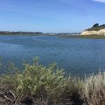 Upper Newport Bay Nature Preserve