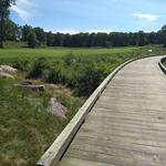 Great Woods Conservation Area