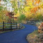 Wildwood Preserve MetroPark