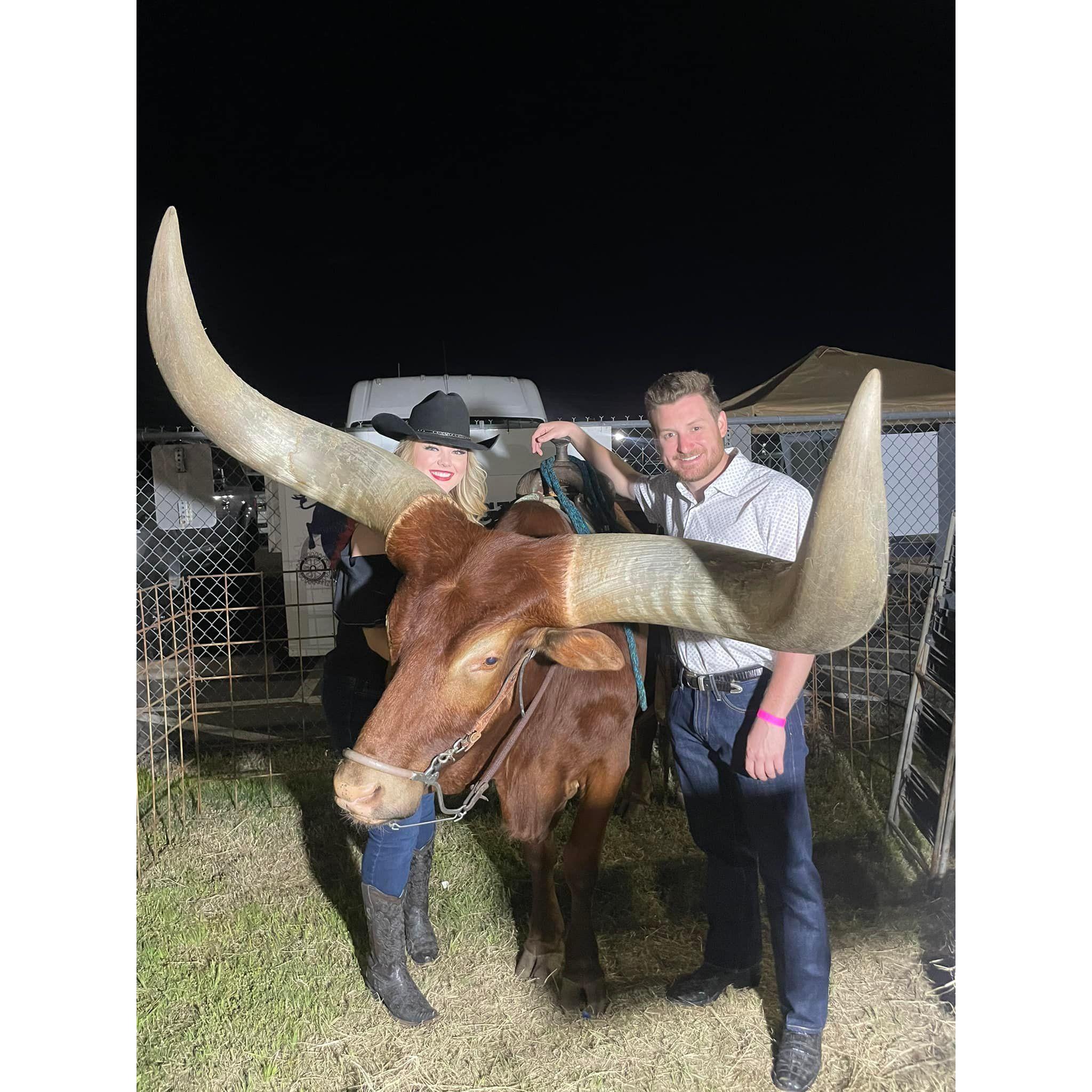 Up close and personal with Oliver the Watusi at the Longview Rodeo in 2022!