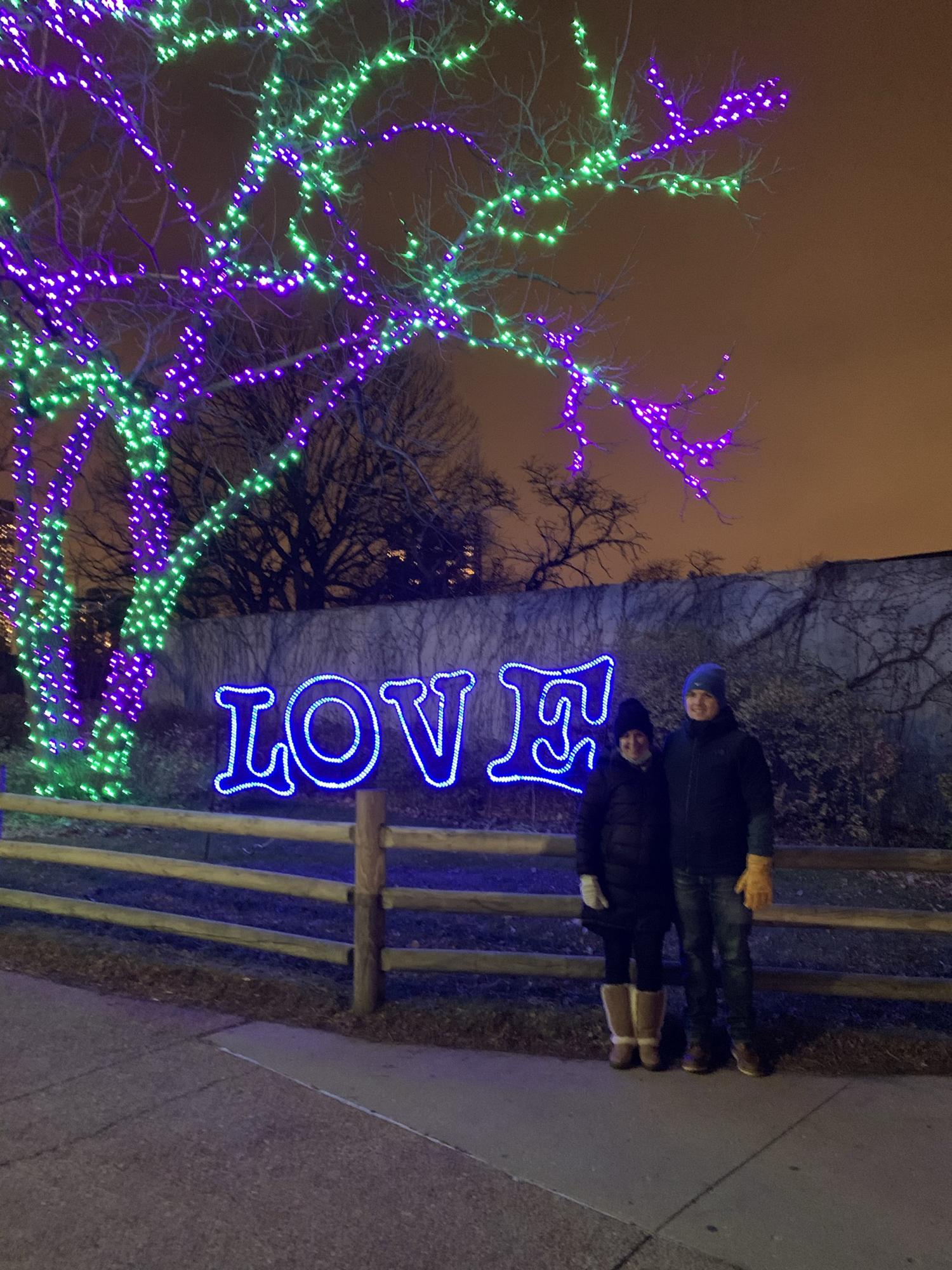 Zoo Lights, Chicago