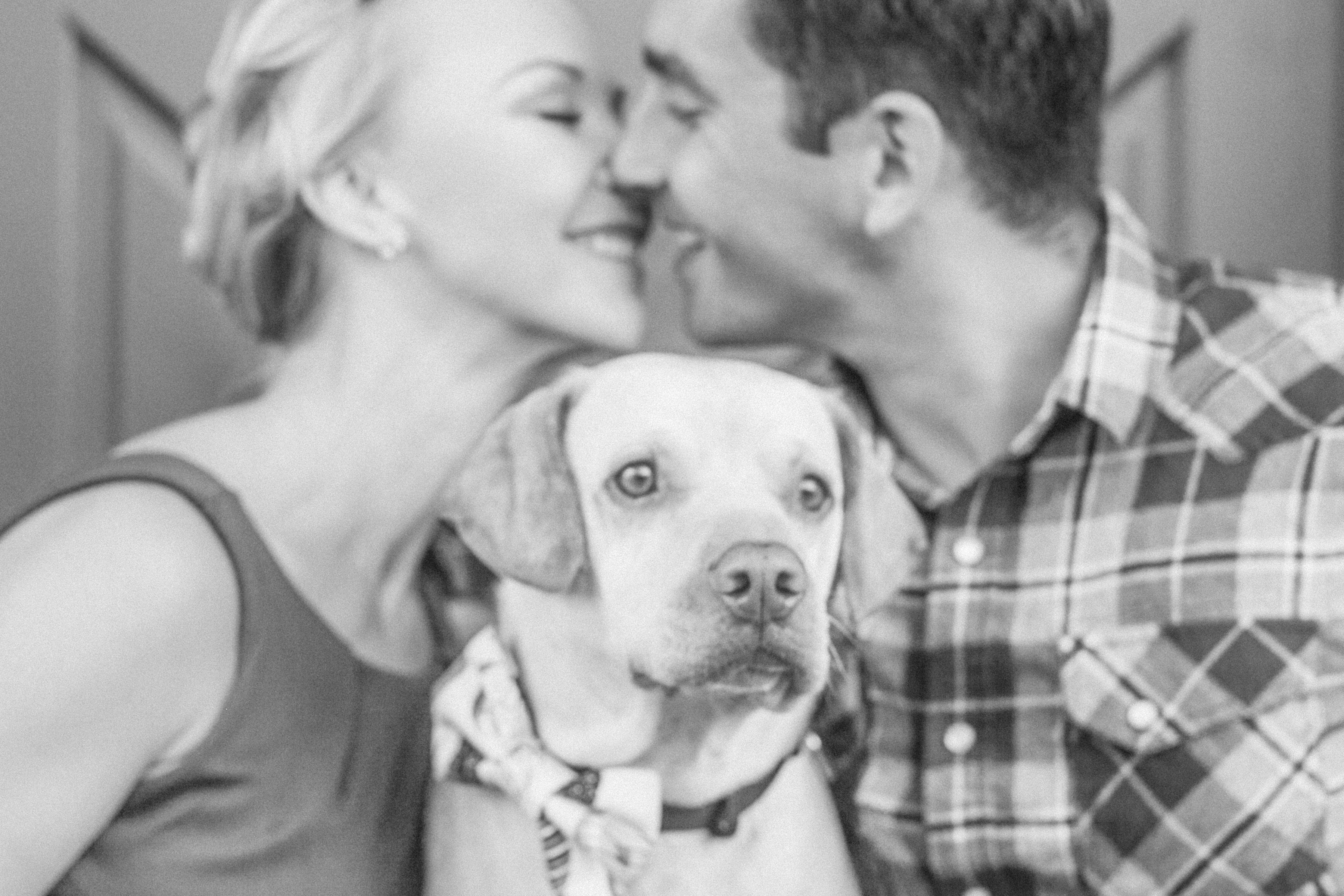 The Wedding Website of Brooke Sheely and Mark Halby