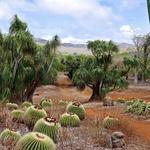 Koko Crater Botanical Garden