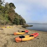 Tomales Bay Expeditions