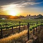 Wine Country