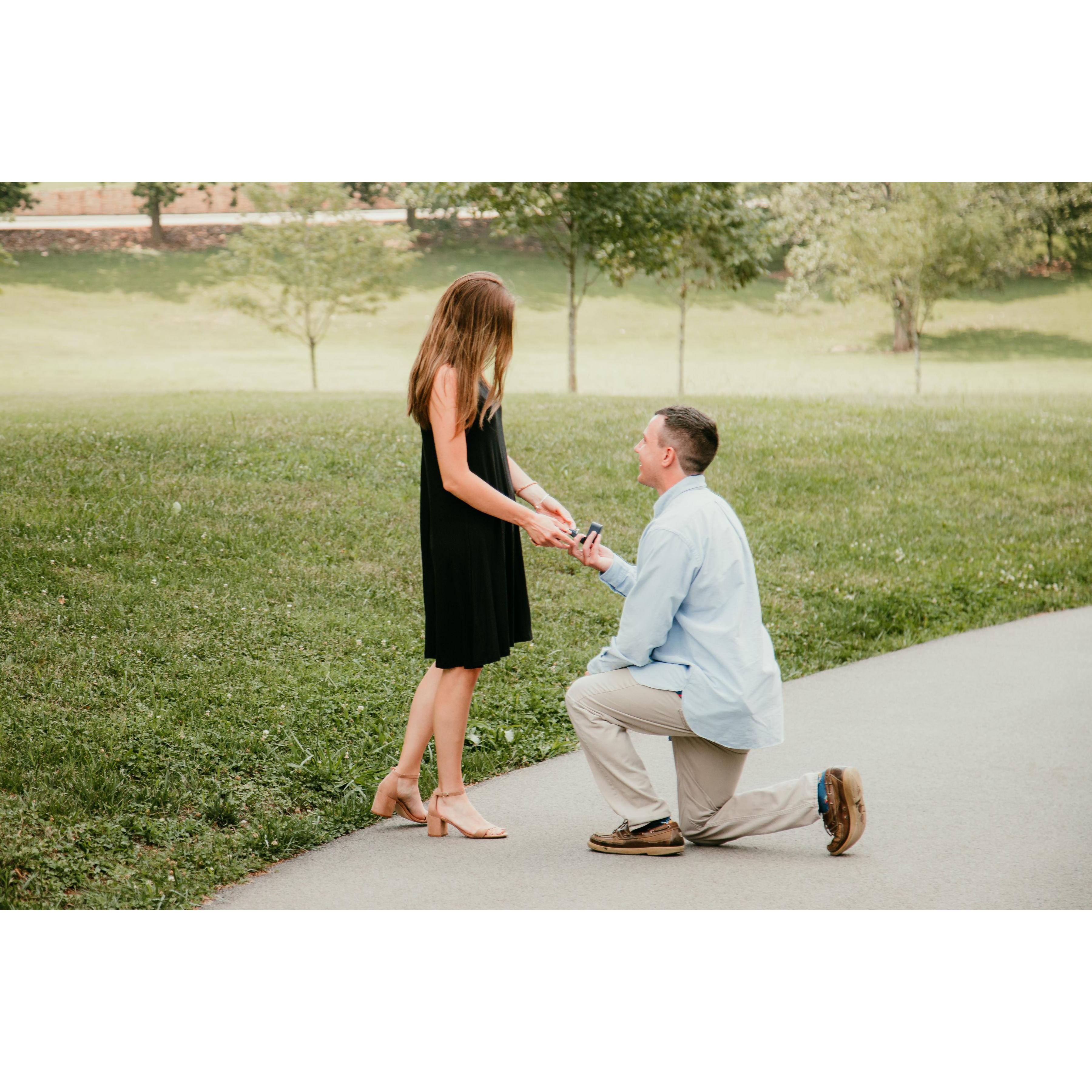The proposal.