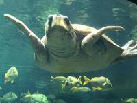 SeaWorld San Diego