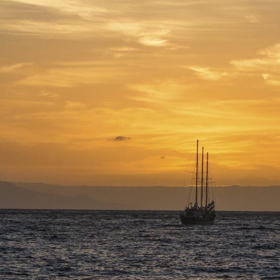 Sunset sail