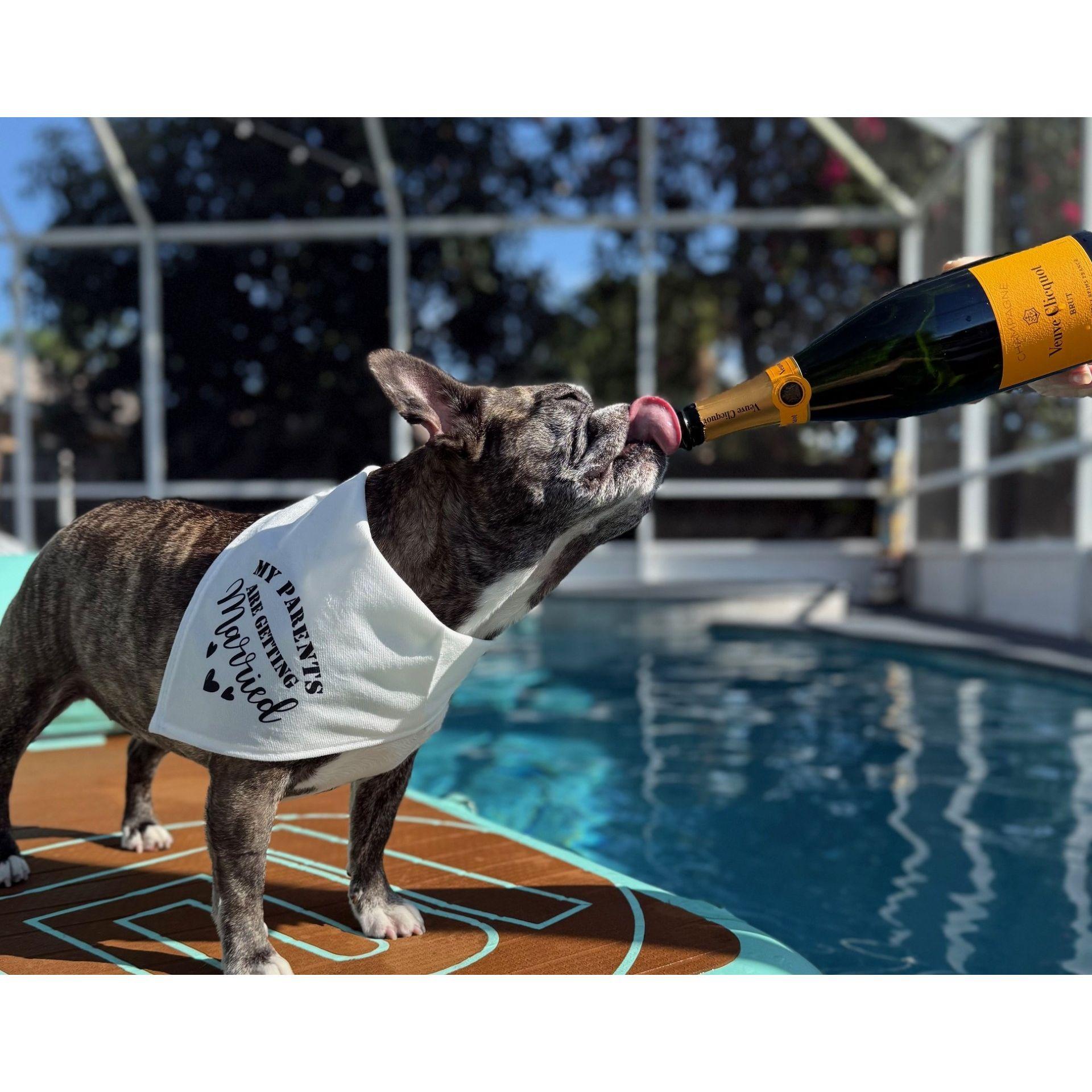 This could quite possibly be our favorite picture, ever!