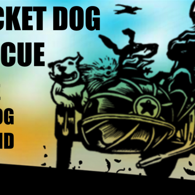 Laura & Noah's Rocket Dog Rescue Fund