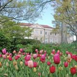 Cheekwood Gardens