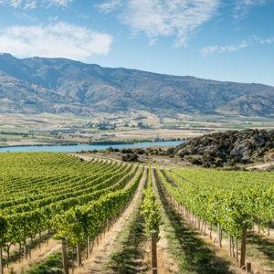 Wine Tasting For Two in Queenstown