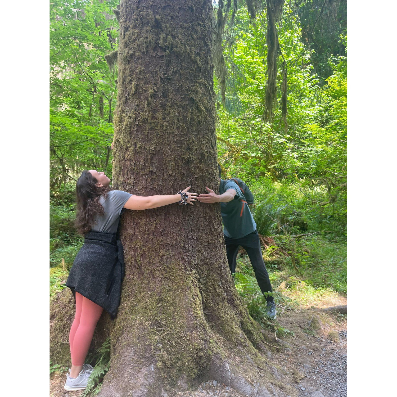 Treehuggers
