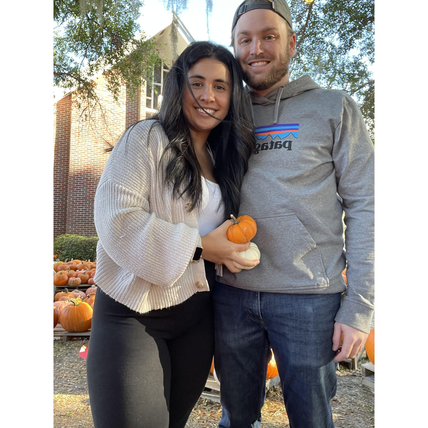 biggg pumpkin patch fans