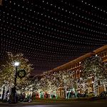 Christmas in the Square