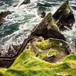 Dingle