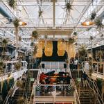Anaheim Packing District