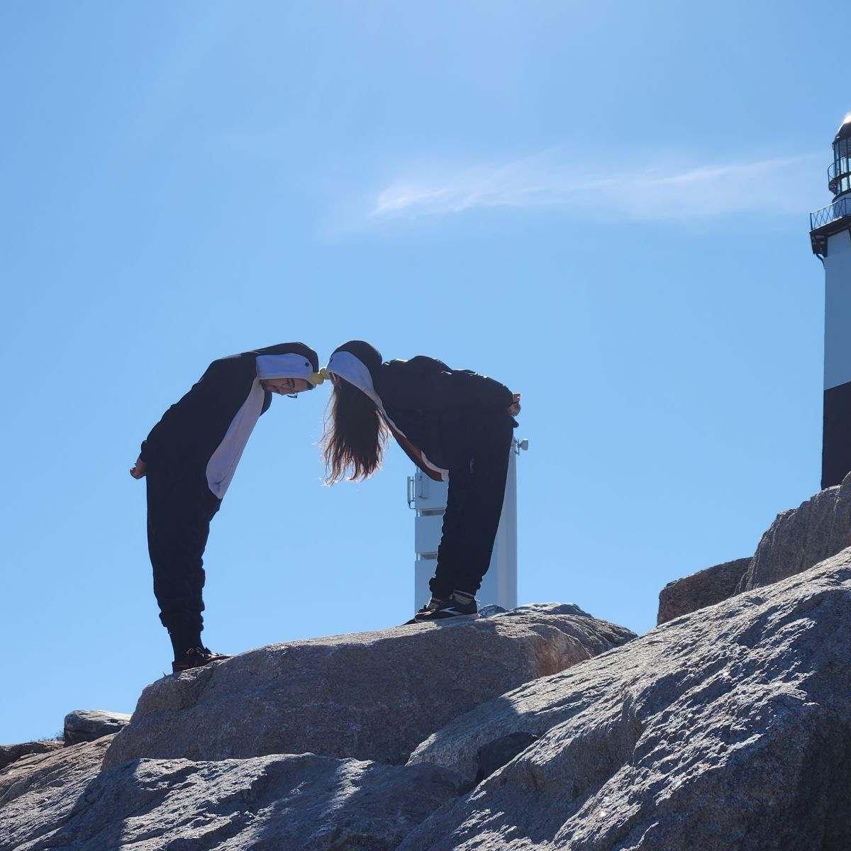 Just a couple of penguins in Montauk