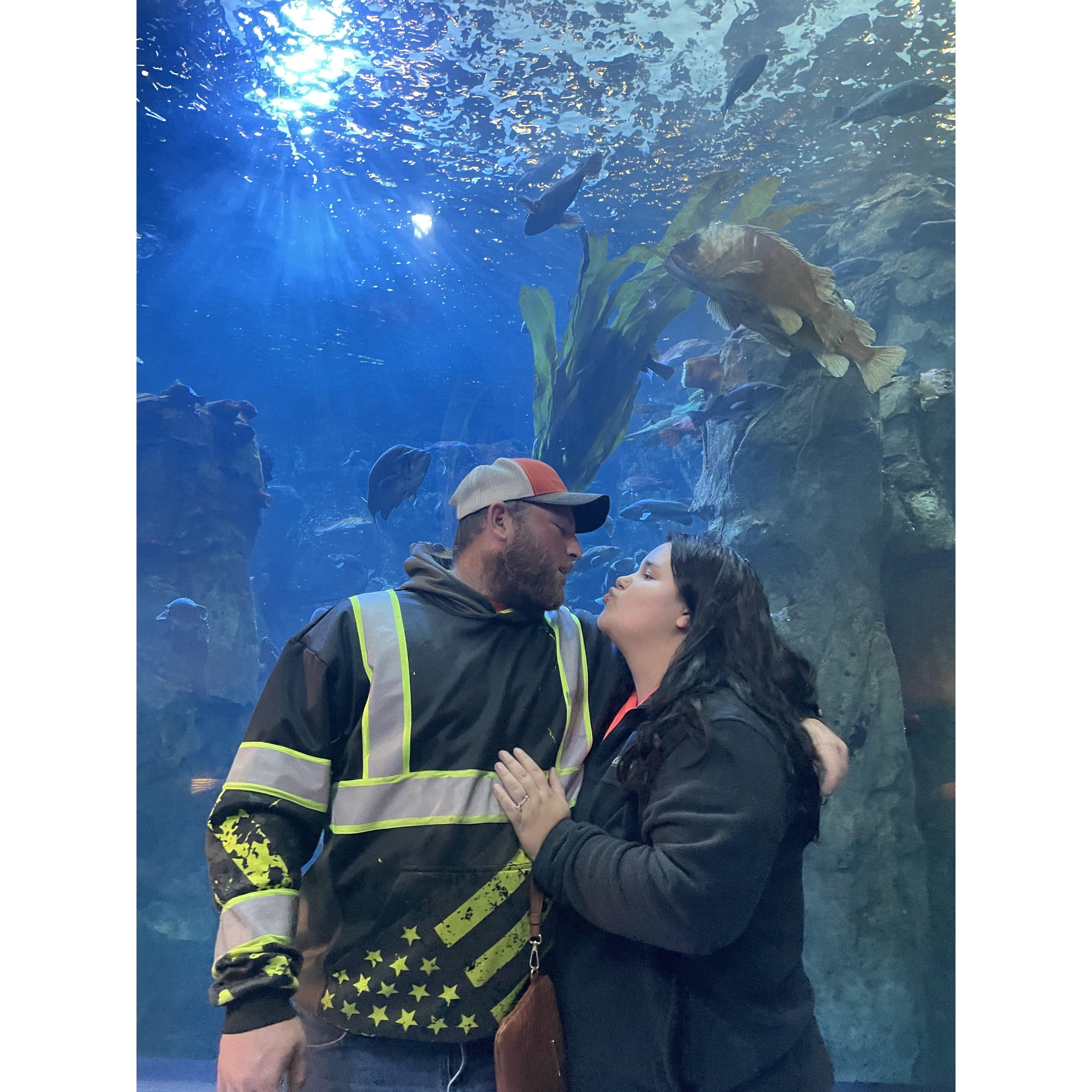 Aquarium