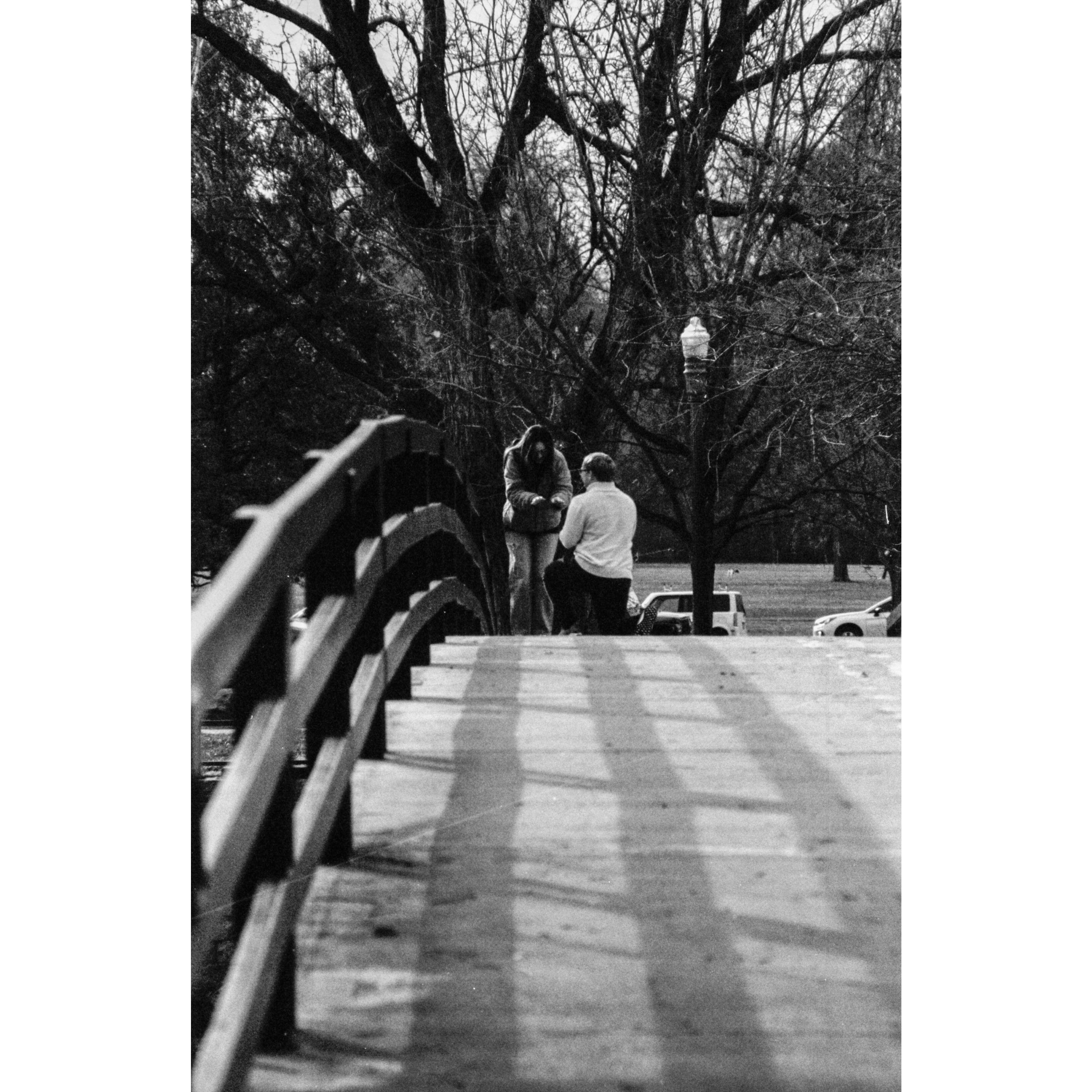 Our friend Cam captured our engagement on his film camera, and developed them that night.