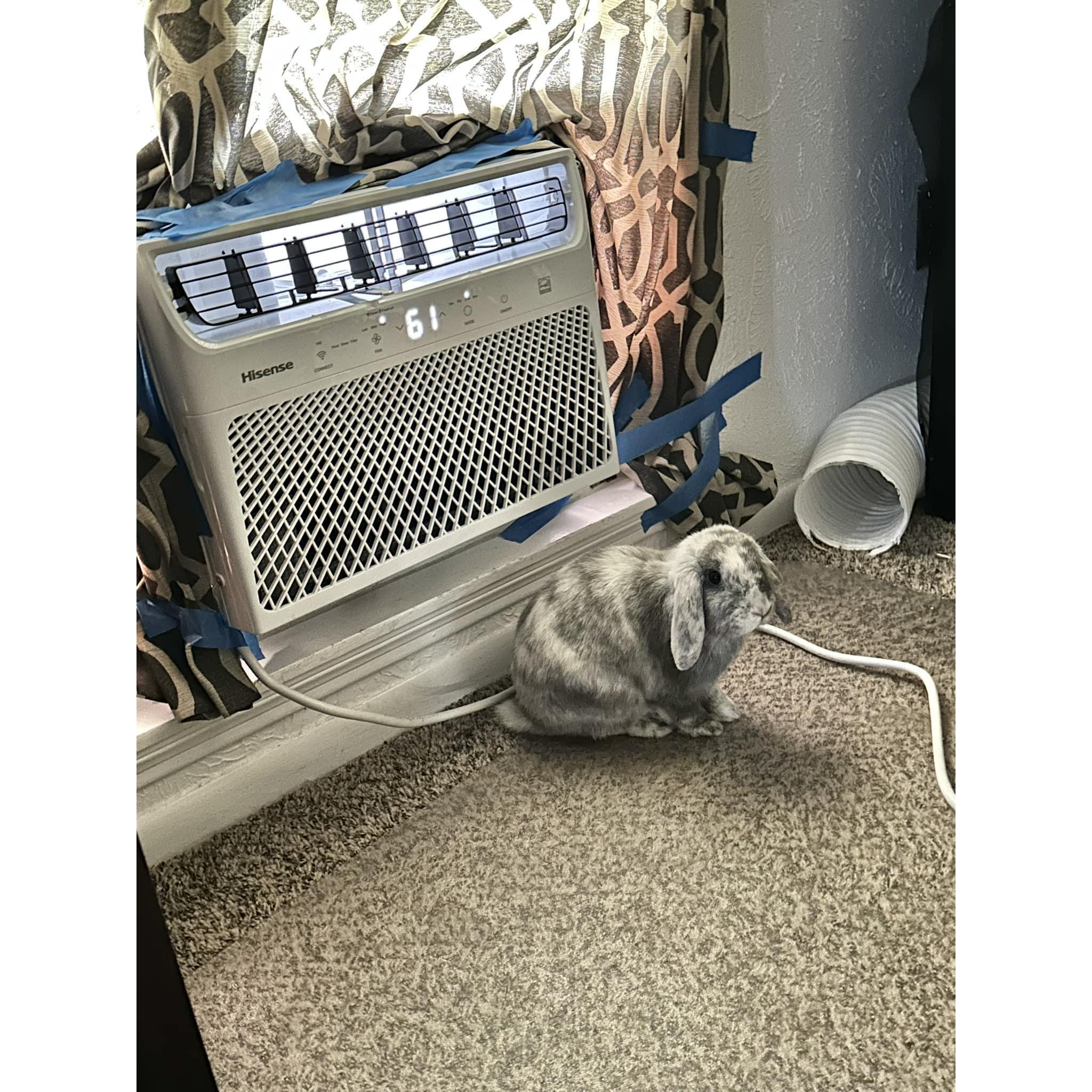 Right after their fishing trip to Canyon Lake, Hurricane Beryl hit the Houston area and caused a lot of damage to their home. They were without power for almost two weeks!