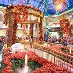Bellagio Conservatory & Botanical Gardens