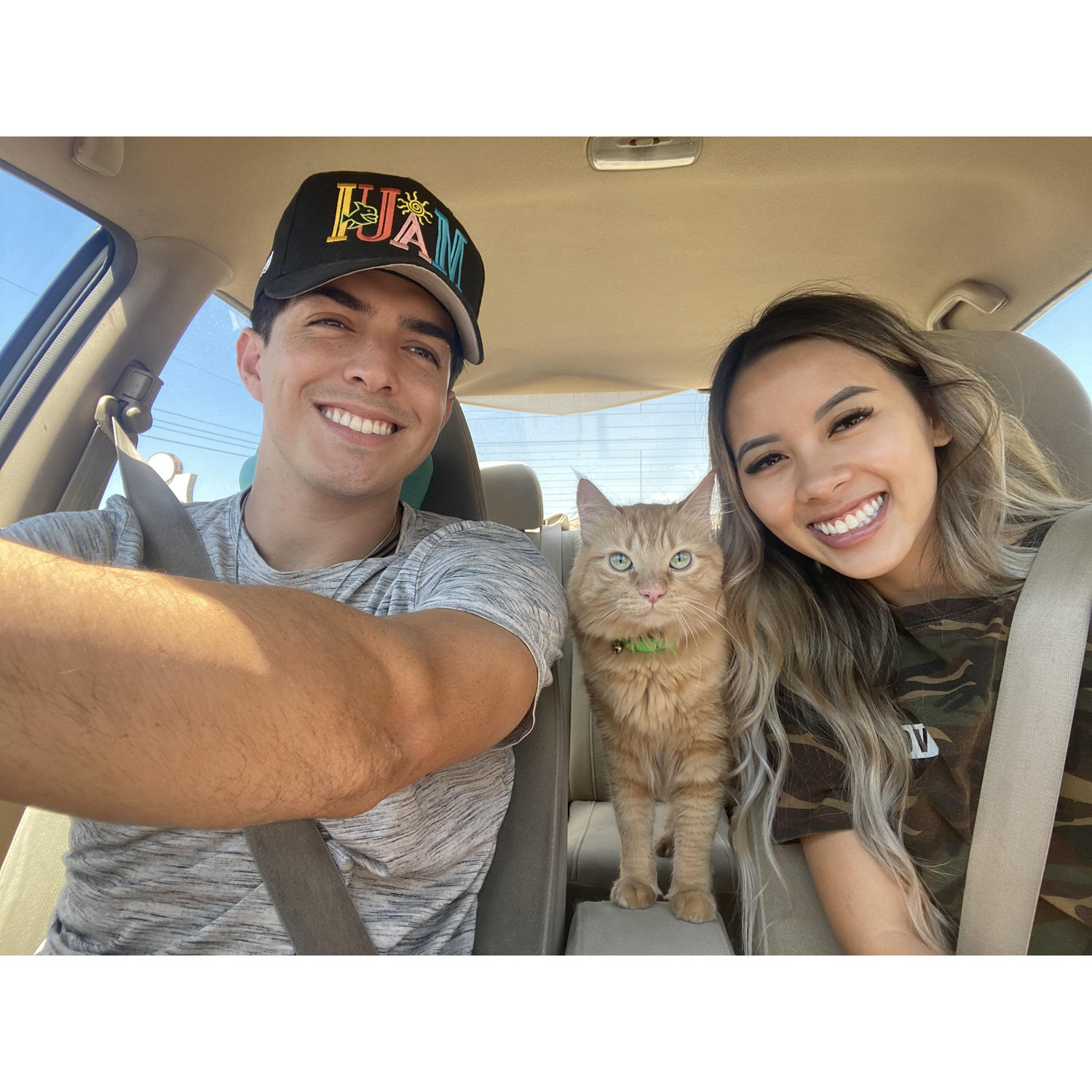 July 10, 2022 - What started as Michelle cat-sitting this cutie (Simba) for a friend turned into the best 7 months... and the beginning of their journey as future pawrents!