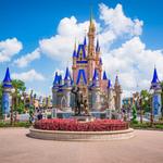 Magic Kingdom Park