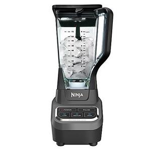 Ninja® Professional Blender in Black