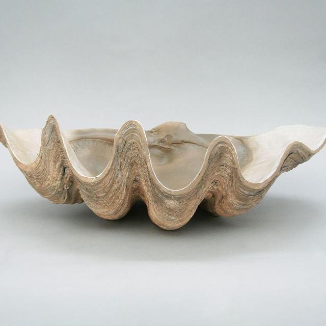 Fossilized Clam Decorative Object