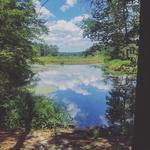 Myles Standish State Forest