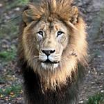 Cheyenne Mountain Zoo Road